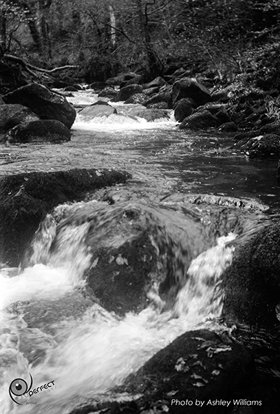Week 4 of 52, Kodak No1  | 22-k13.jpg