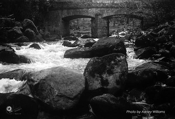 Week 4 of 52, Kodak No1  | 22-k14.jpg