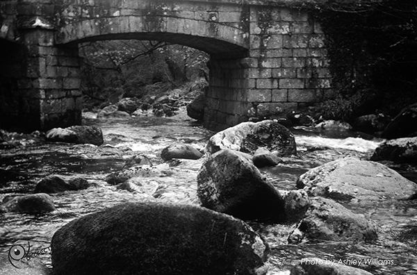 Week 4 of 52, Kodak No1  | 22-k15.jpg