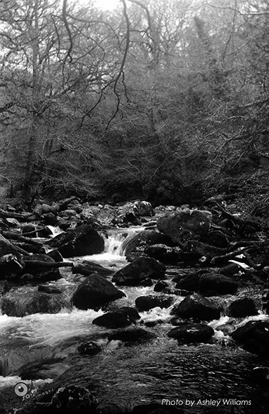 Week 4 of 52, Kodak No1  | 22-k12.jpg