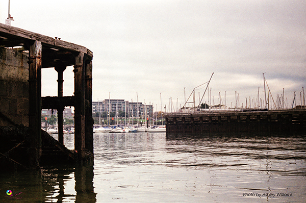 Week 5 of 52, Canon FP | 3.jpg
