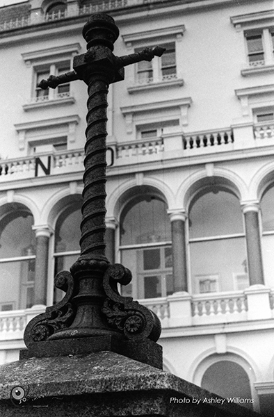Week 5 of 52, Canon FP | 1-20.jpg