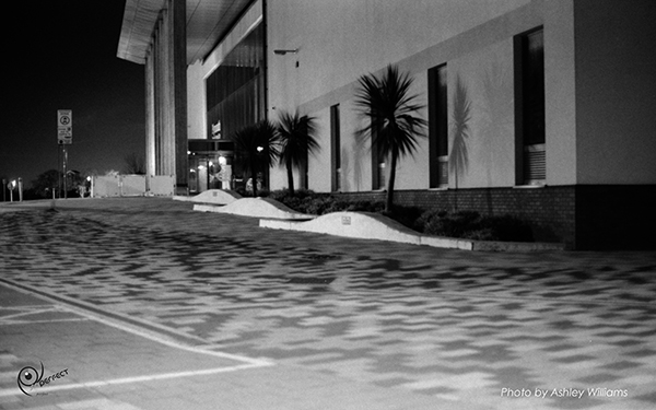 Week 5 of 52, Canon FP | 1-9.jpg