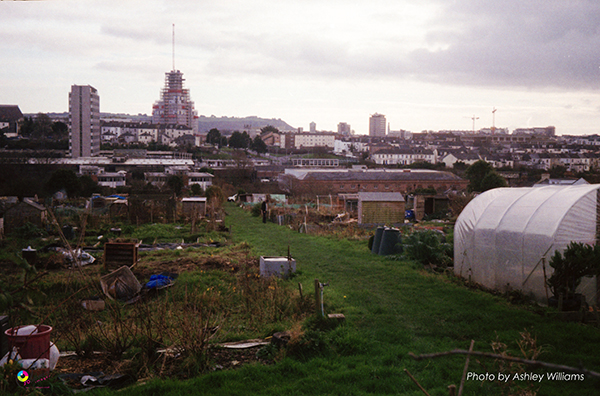 Week 7 of 52, Braun Super Paxette | 1-Untitled-Scanned-17.jpg