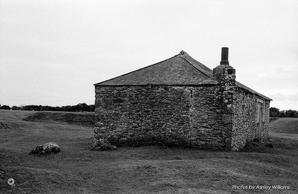 Week 8 of 52, Kodak Retina | 1-Untitled-Scanned-09.jpg