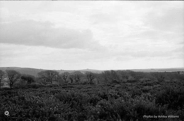 Week 8 of 52, Kodak Retina | 1-Untitled-Scanned-11.jpg