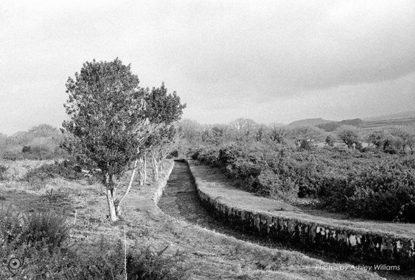 Week 8 of 52, Kodak Retina | 1-Untitled-Scanned-15.jpg