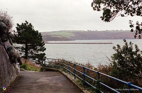 Week 8 of 52, Kodak Retina | 1-a.jpg