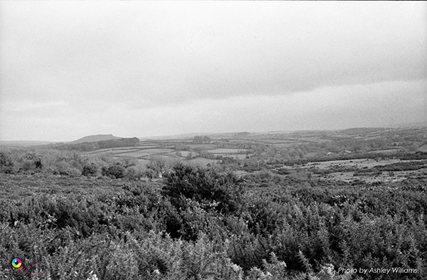 Week 8 of 52, Kodak Retina | 1-Untitled-Scanned-02.jpg