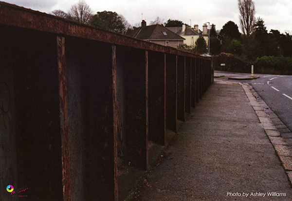 Week 8 of 52, Kodak Retina | 1-n.jpg