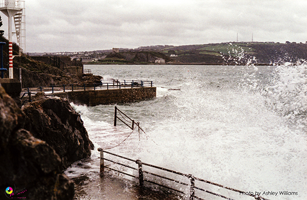 Week 8 of 52, Kodak Retina | 1-b.jpg