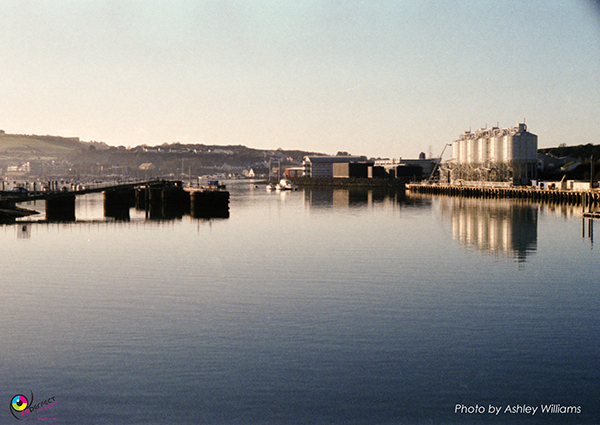 Week 8 of 52, Kodak Retina | 1-e.jpg