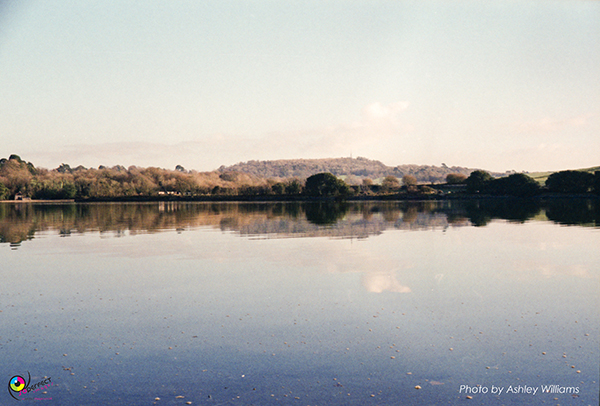 Week 8 of 52, Kodak Retina | 1-h.jpg