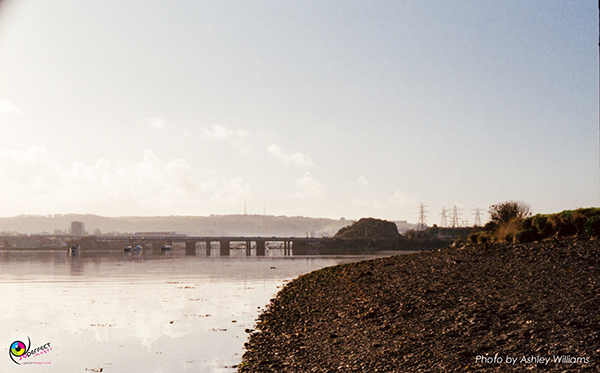 Week 8 of 52, Kodak Retina | 1-i.jpg