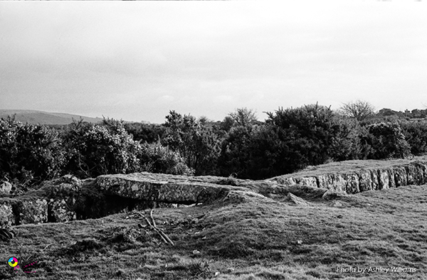 Week 8 of 52, Kodak Retina | 1-Untitled-Scanned-01.jpg