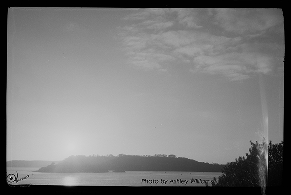 Week 9 of 52, Kodak Vest Pocket