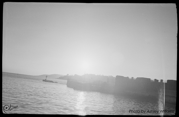 Week 9 of 52, Kodak Vest Pocket