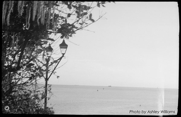 Week 9 of 52, Kodak Vest Pocket