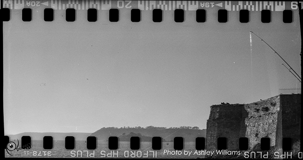 Week 9 of 52, Kodak Vest Pocket