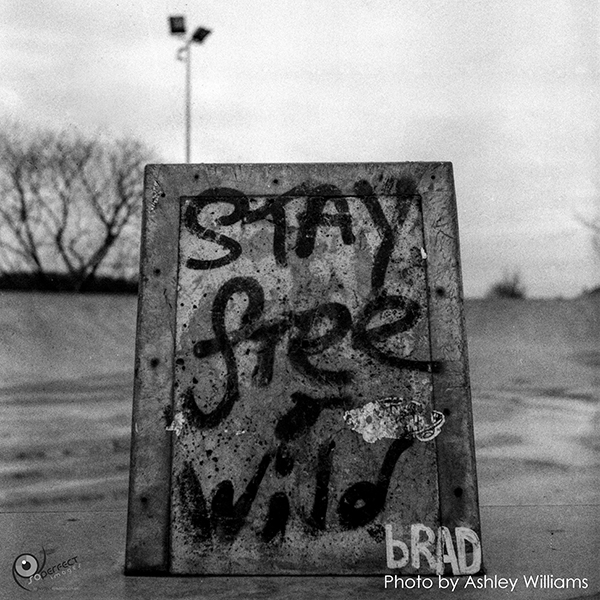 Week 1 revisited  | rolleiflex_1.jpg