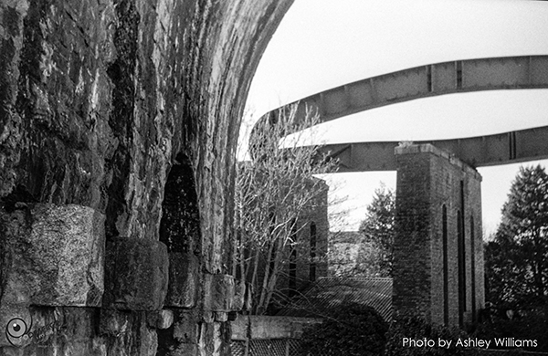 Week 13 of 52, Zeiss Contaflex | arches_1.jpg