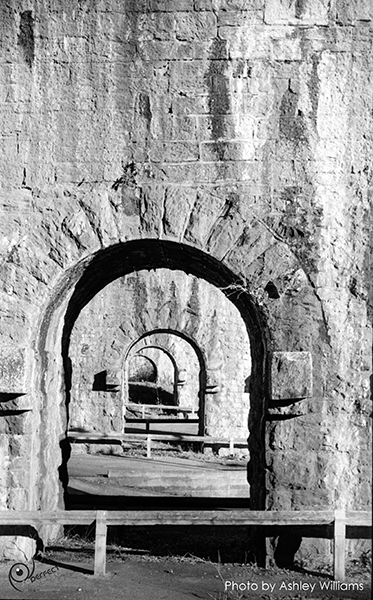 Week 13 of 52, Zeiss Contaflex | arches_2.jpg