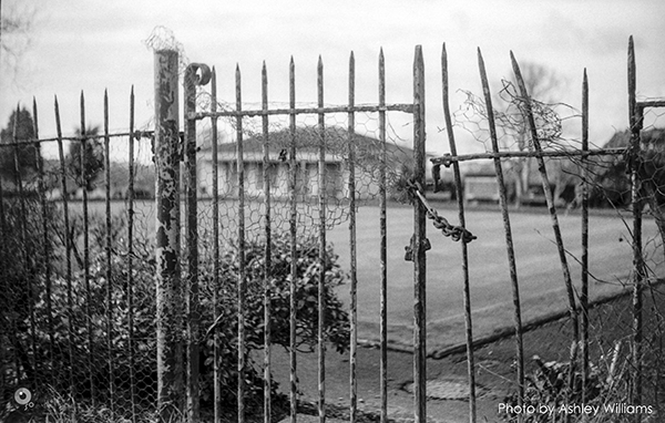 Week 13 of 52, Zeiss Contaflex | gate.jpg