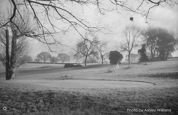 Week 13 of 52, Zeiss Contaflex | golf.jpg