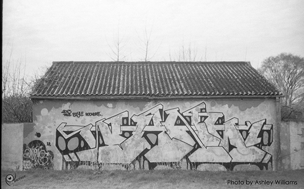 Week 13 of 52, Zeiss Contaflex | hut.jpg