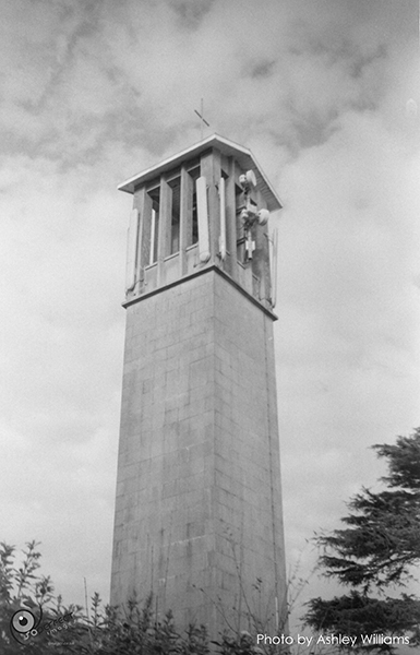 Week 13 of 52, Zeiss Contaflex | tower.jpg
