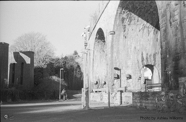 Week 13 of 52, Zeiss Contaflex | arches_3.jpg