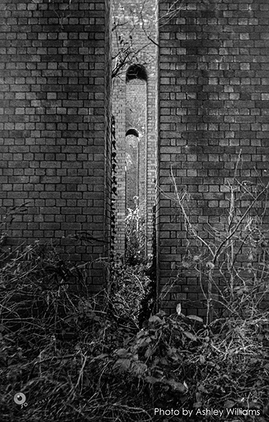 Week 13 of 52, Zeiss Contaflex | arches_4.jpg