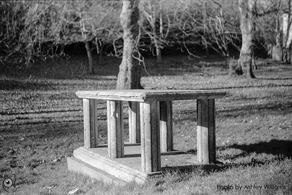 Week 13 of 52, Zeiss Contaflex | bench.jpg