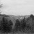 Week 13 of 52, Zeiss Contaflex | tree_5.jpg
