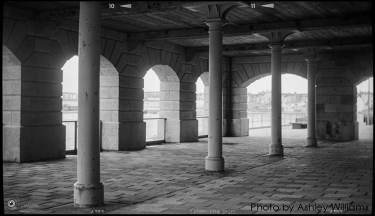 Week 17 of 52, Kodak No3 folding pocket | k8.jpg