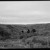 Week 17 of 52, Kodak No3 folding pocket | k5.jpg