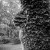 Week 22 of 52, Mercury | m38-1.jpg