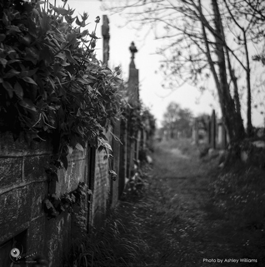 Week 27 of 52, Lubitel 