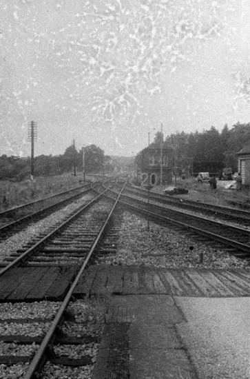 The lost roll | hp3.5.jpg