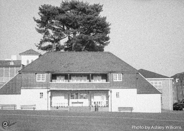 Week 30 of 52, Ricoh 16 | Untitled-Scanned-01.jpg