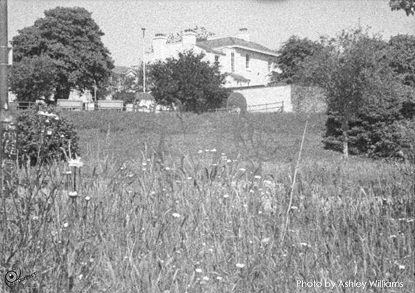Week 30 of 52, Ricoh 16 | Untitled-Scanned-12.jpg