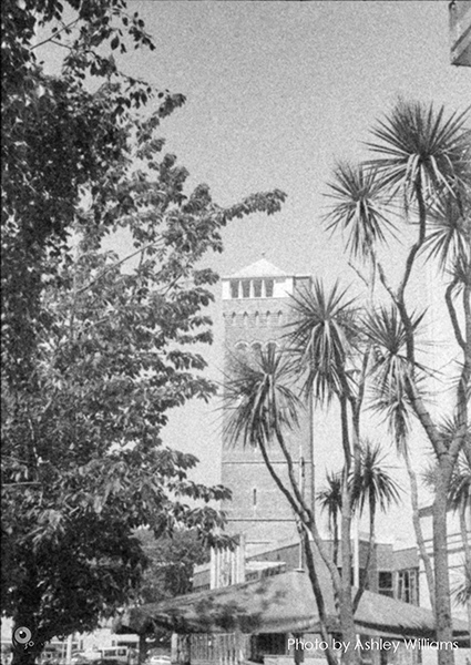 Week 30 of 52, Ricoh 16 | Untitled-Scanned-13.jpg