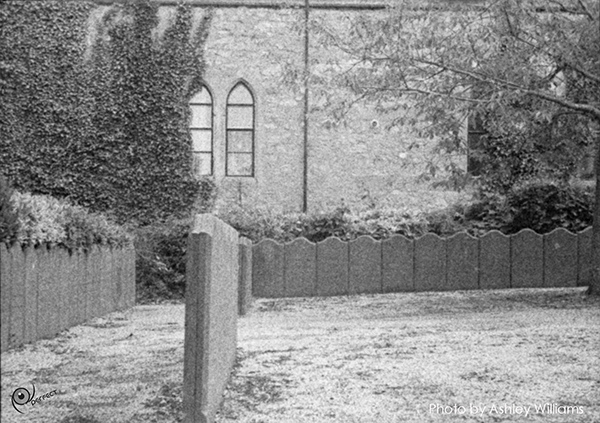 Week 30 of 52, Ricoh 16 | Untitled-Scanned-17.jpg
