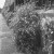 Week 30 of 52, Ricoh 16 | Untitled-Scanned-10.jpg
