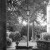 Week 30 of 52, Ricoh 16 | Untitled-Scanned-19.jpg