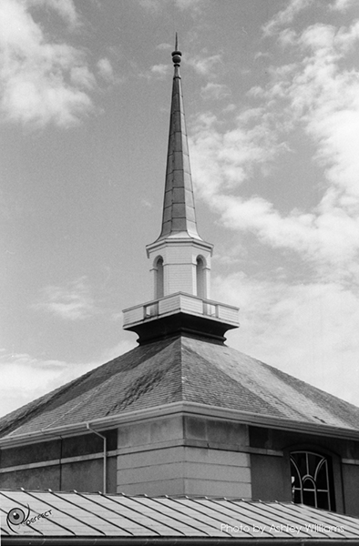Week 38 of 52, Pentax Spotmatic SP | s13.jpg
