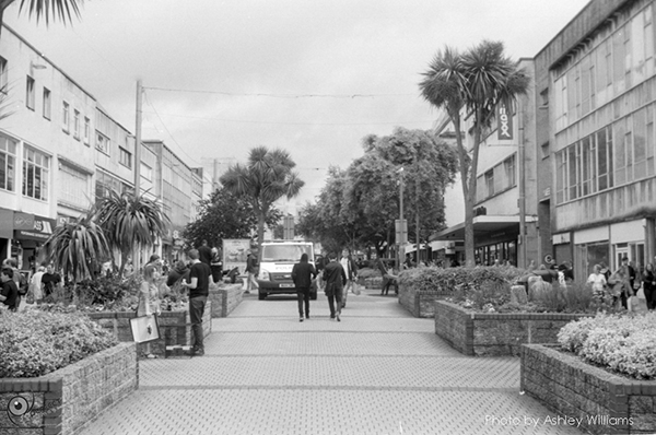 Week 38 of 52, Pentax Spotmatic SP | s19.jpg