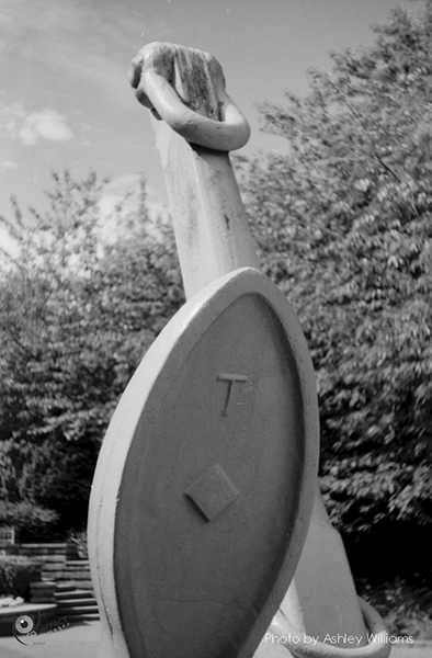 Week 38 of 52, Pentax Spotmatic SP | s9.jpg