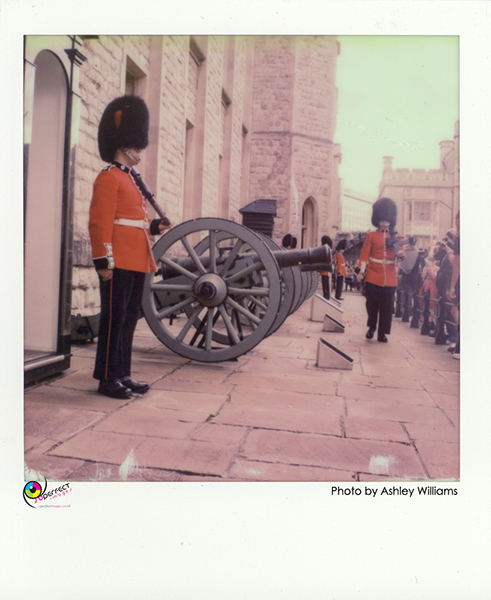 Week 42 of 52, Polaroid SX-70  | 1p7.jpg