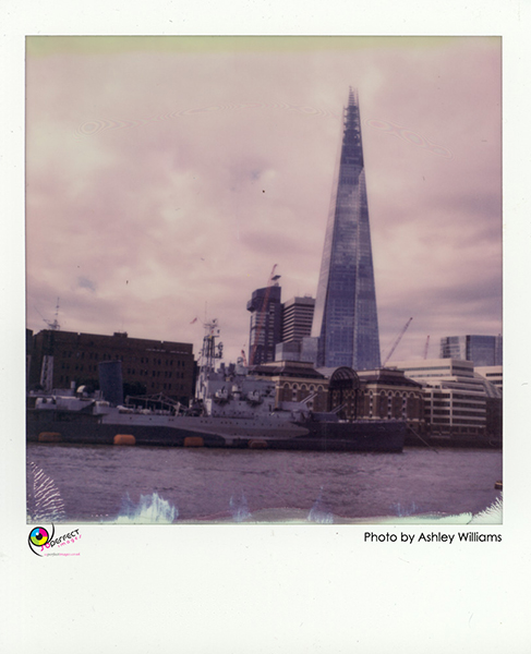 Week 42 of 52, Polaroid SX-70  | 1p12.jpg